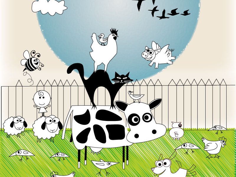 MY NEW COUNTRY&nbsp;LIFE